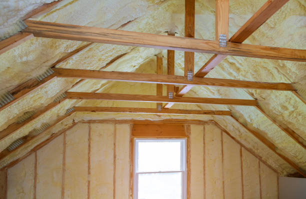 Best Spray Foam Insulation in Clermont, GA