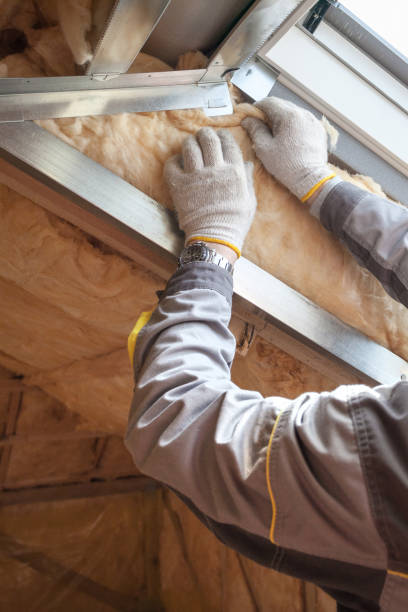 Best Spray Foam Insulation in Clermont, GA