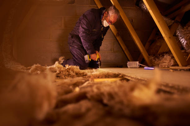 Best DIY Insulation Kits and Guidance in Clermont, GA