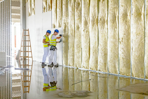 Best Blown-in Insulation in Clermont, GA